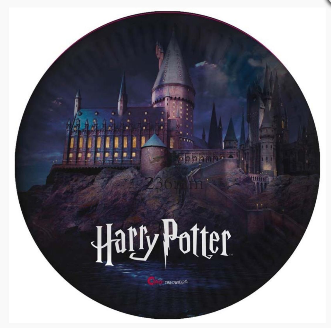 Piatti 23 cm Harry Potter 8 pezzi
