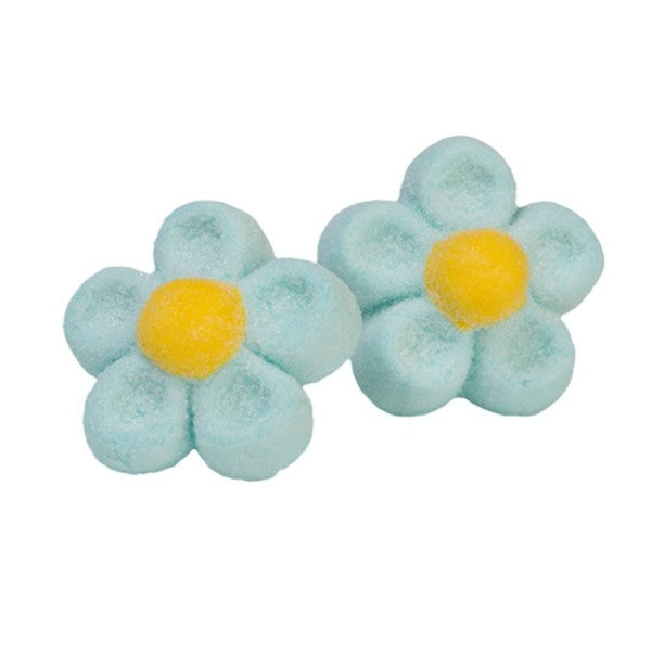 Margherite azzurre (900gr)
