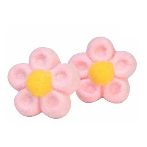 Margherite rosa (900gr)